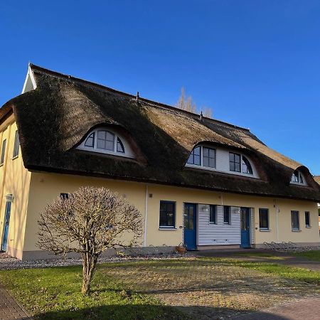 Vila Reetdachhaus Holunder 2 Puddemin Exteriér fotografie